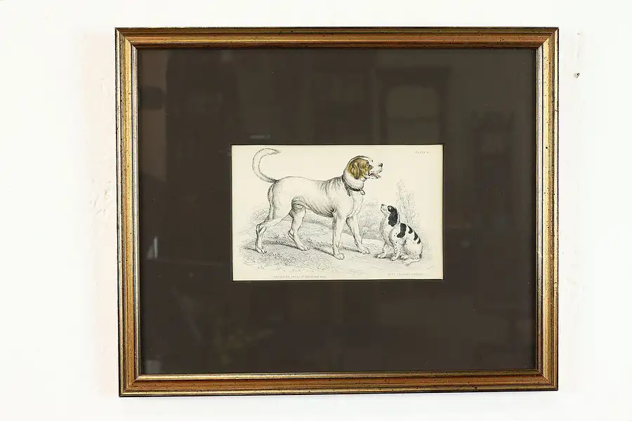 Main image of St. Bernard & Spaniel Antique Colored Engraving After Stewart 12.5"