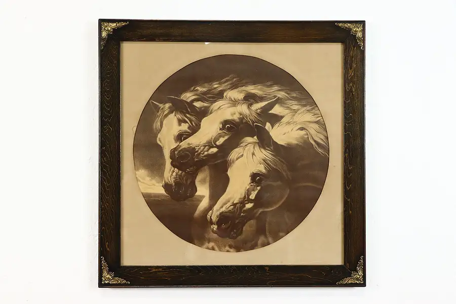 Main image of Pharaoh's Horses Antique Print, Oak Frame, after Herring 23 1/2"