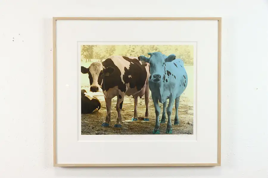 Main image of Maa and Paa Cattle Handcolored Silverprint 1988 James B. Bissell 30"