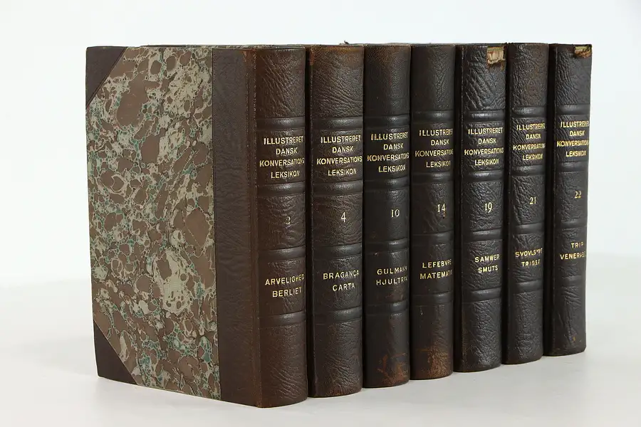 Main image of Set of 7 Gold Tooled Leather Danish Language Dictionary Books, Copenhagen