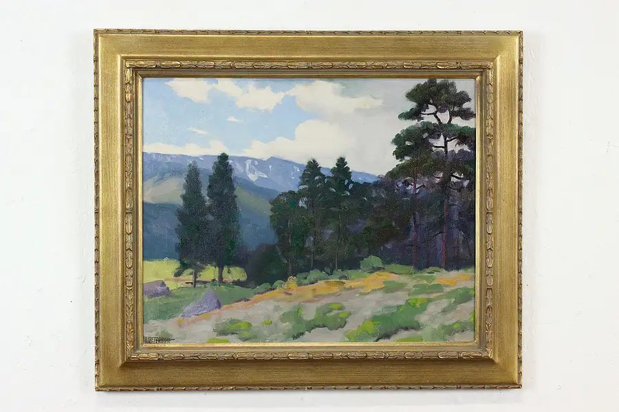 Main image of Mountain Landscape &Trees Vintage Original Oil Painting, Peterson 25"