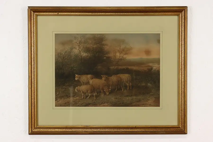 Main image of Grazing Sheep in Field Antique Art Print, Riecke for Tabor 25.5"