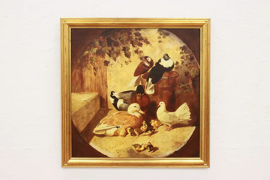 Main image of Farmyard Birds Vintage Giclee Print After Herring 27.5