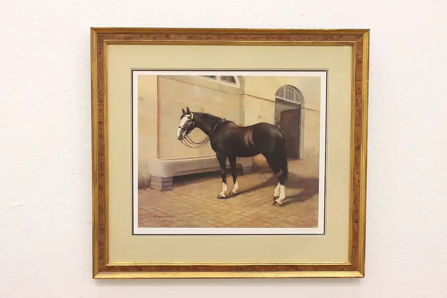 Main image of British Calvary Horse Original Vintage Print, Fraser 35"