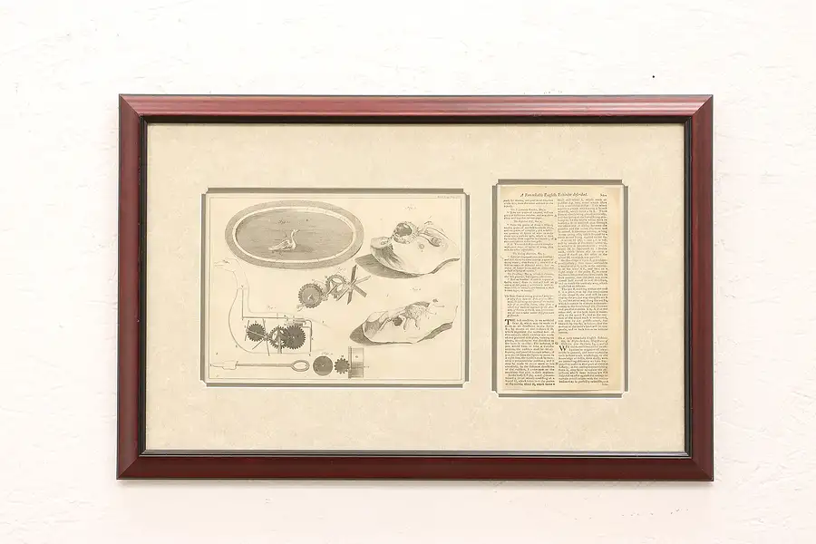 Main image of English Antique 1766 Engravings & Story of Fossil & Mechanical Swan 23.5"