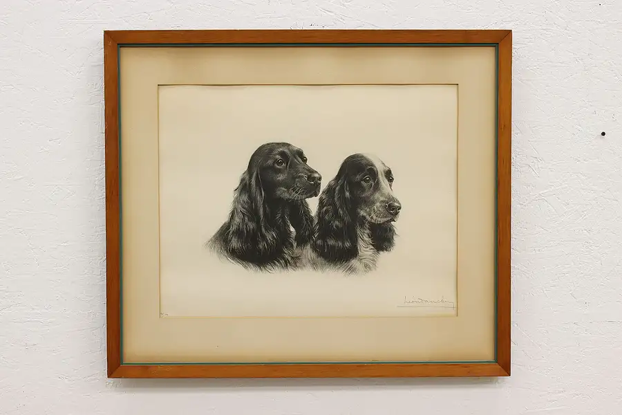 Main image of Pair of Spaniel Dogs Antique Original Engraving, Danchin 31"