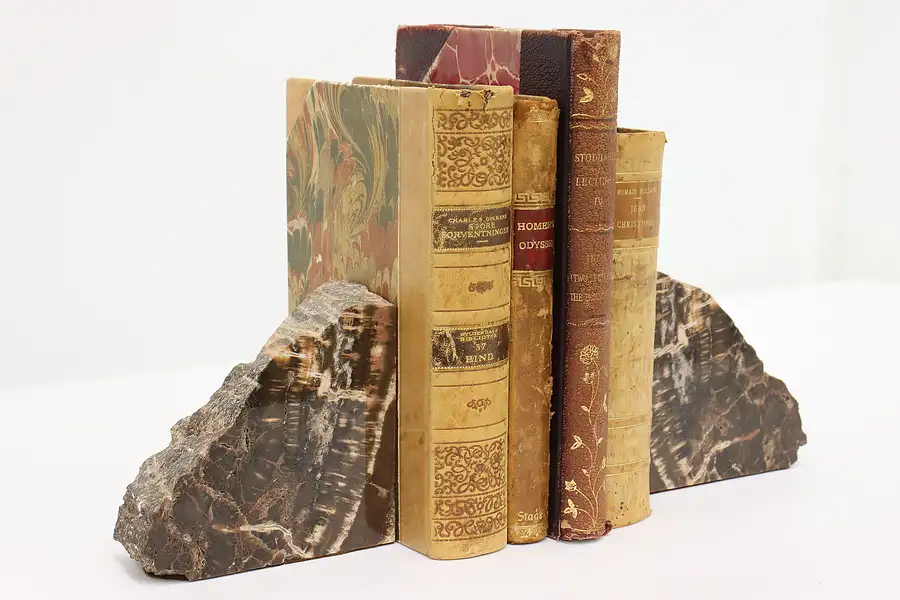 Main image of Pair of Antique Petrified Wood Bookends