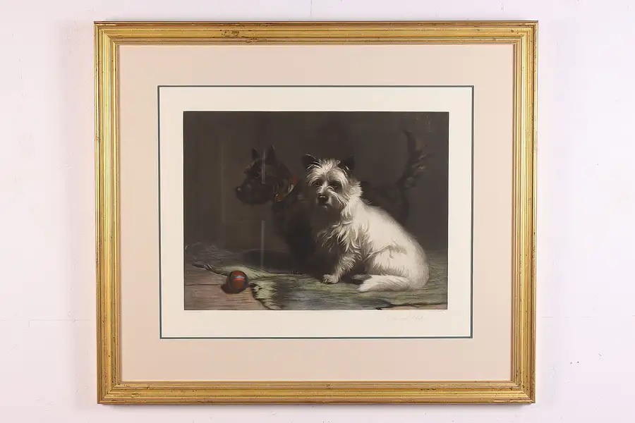 Main image of Pair of Dogs Antique Colored Engraving, Collyer 36.5"