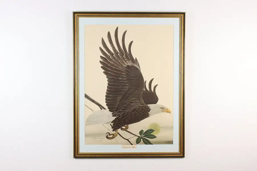 Main image of Eagle in Flight Vintage Original Lithograph, Ruthven 43"