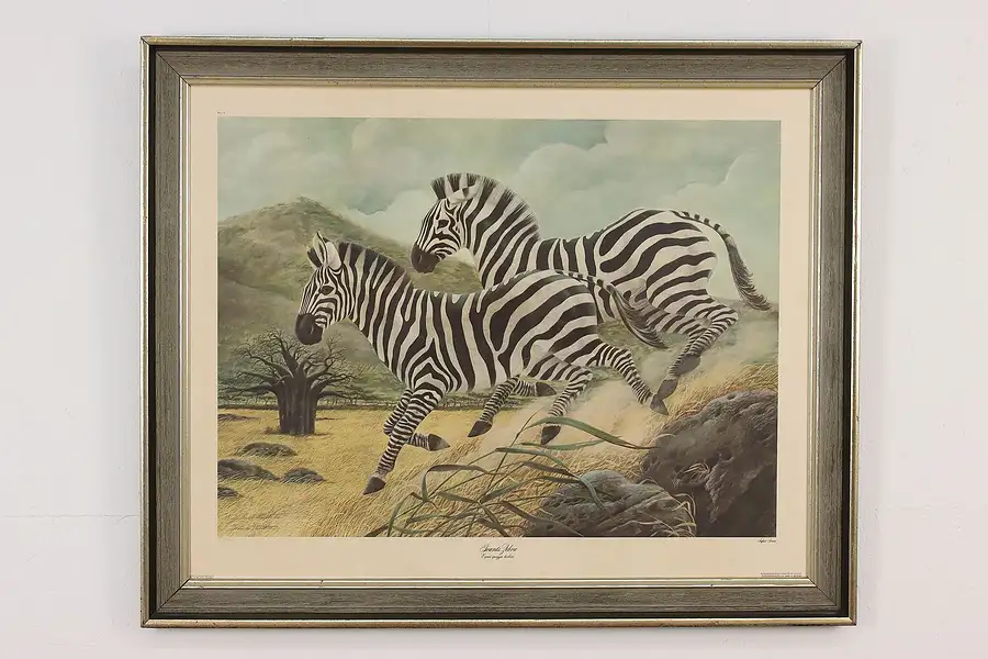 Main image of Grant's Zebras Vintage Safari Lithograph, Ruthven 38.5"