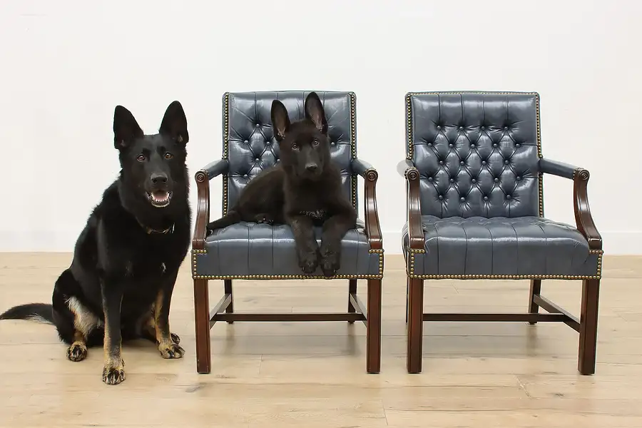 Main image of Pair of Vintage Georgian Tufted Leather Office Arm Chairs