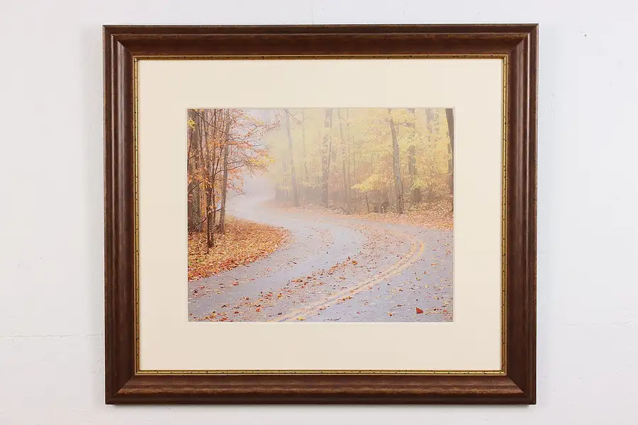 Main image of Winding Road Door County Vintage Original Photograph 33"