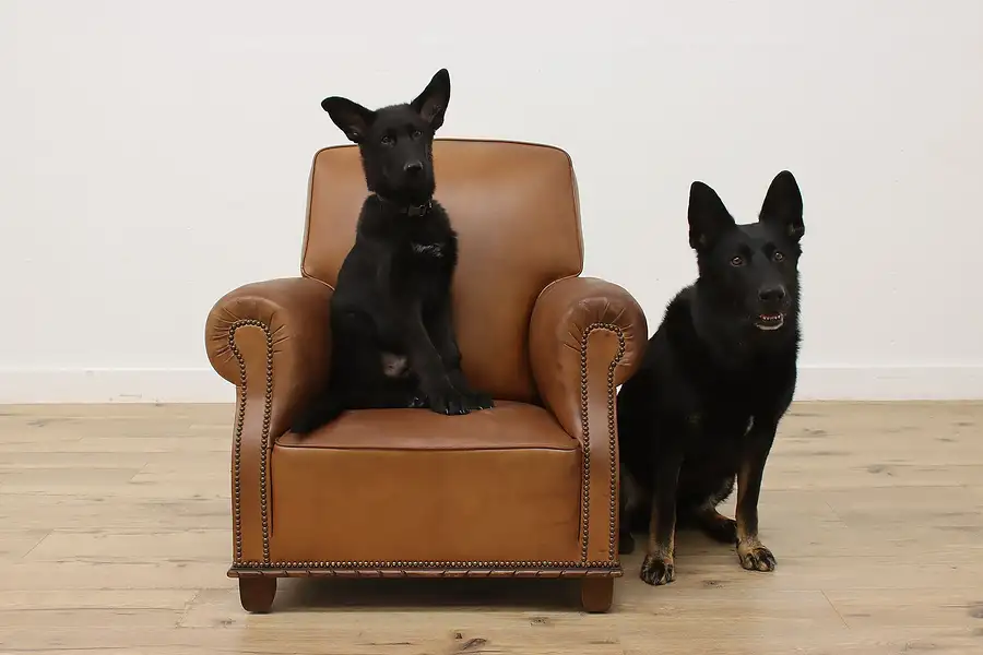 Main image of Traditional Vintage Leather Reading or Lounge Wingback Chair