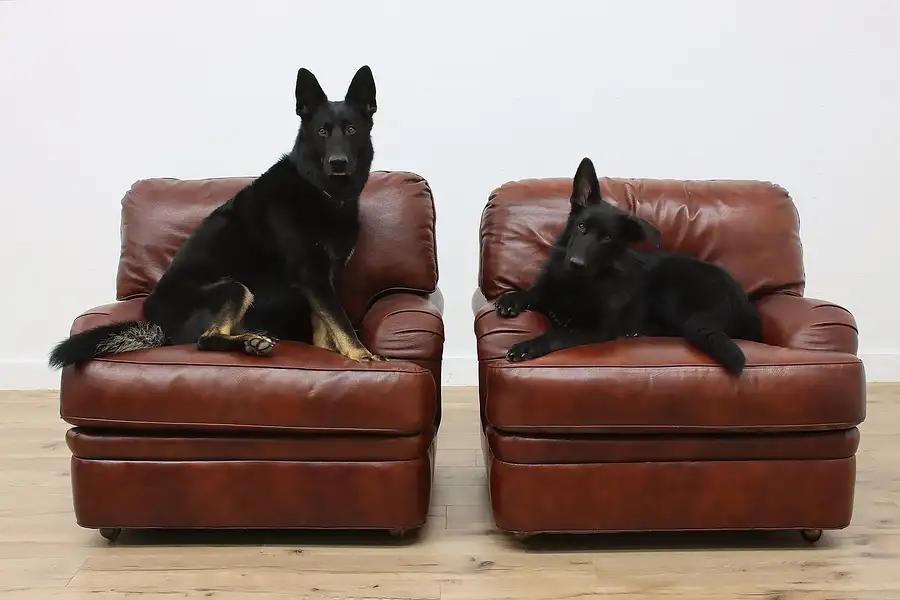 Main image of Pair of Hancock & Moore Vintage Leather Club Chairs