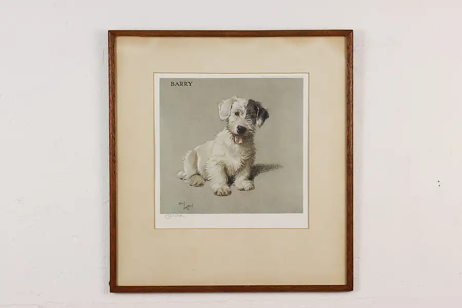 Main image of Barry Terrier Dog Antique Lithograph Print, Aldin 22"