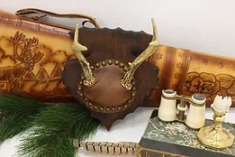 Farmhouse Vintage Leather & Walnut Antler Wall Mount #52193