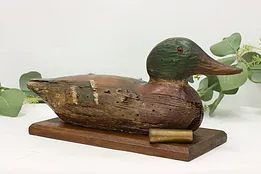 Farmhouse Antique Carved Painted Mounted Duck Decoy & Shell #51852