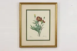 Marigolds Antique Botanical Print, Redoute 18.5" #52971