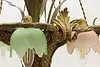 French Antique Gilt Bronze Flower Basket Chandelier, Soleau (20)