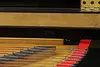 Erard London 1824 Antique 8.5' Rebuilt Concert Grand Piano (39)