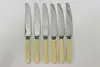 Set of 6 Antique English Dinner Knives, Bakelite Handles (2)