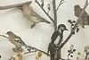 Taxidermy Antique Display Case w/ Birds & Mammals (11)