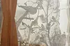 Taxidermy Antique Display Case w/ Birds & Mammals (32)