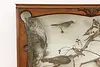 Taxidermy Antique Display Case w/ Birds & Mammals (4)