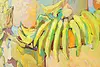 Tropicana Fruit Vintage Original Oil Painting Cajko 47" (10)