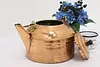 Farmhouse Vintage Copper & Brass Kettle or Teapot (3)