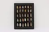 Indigenous Antique Framed Natural Material Arrowheads (2)