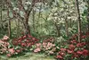 Spring Woods Vintage Original Oil Painting, Carmichael 23.5" (2)