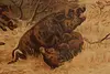 German Boar Hunt Antique Print Signed 24" (9)