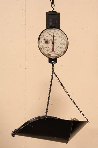 Pelouze Country Hanging Dairy Scale (1)