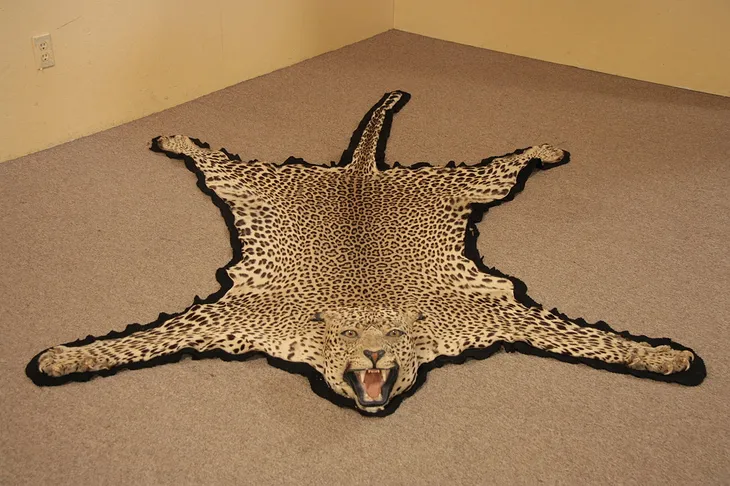 Leopard Skin Rug with Head