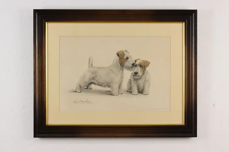 Sealyham Terriers Antique Lithograph Print, Danchin 28.5" #50578