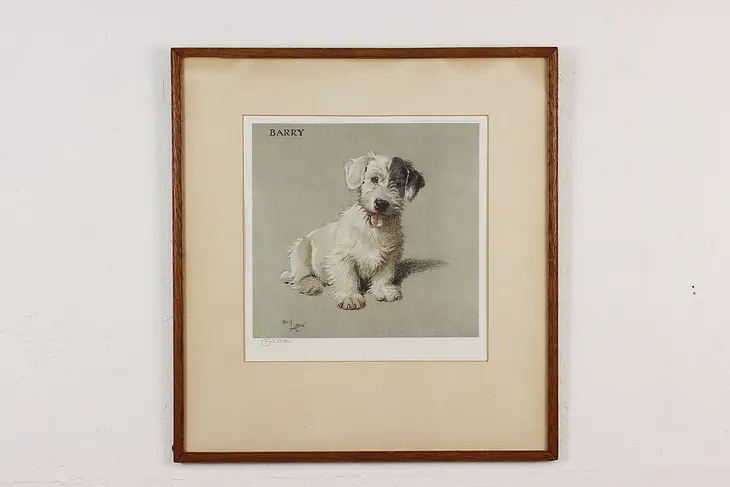 Barry Terrier Dog Antique Lithograph Print, Aldin 22" #50577