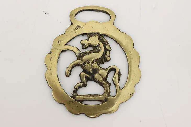 English Antique Horse Brass Harness Medallion (1)